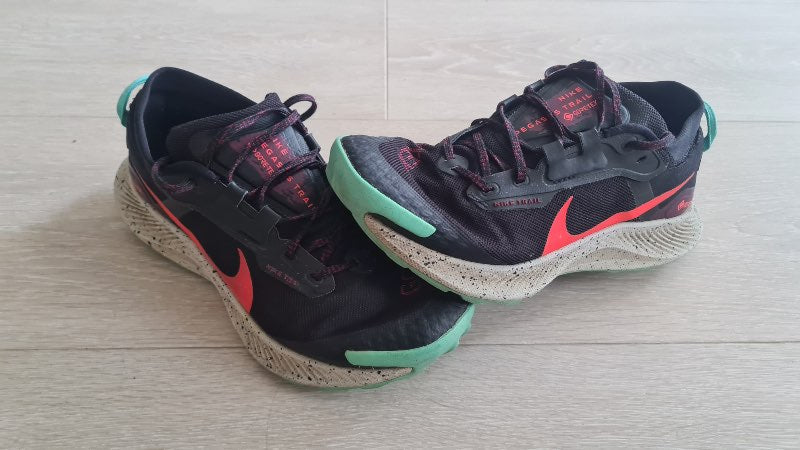 Nike Trail Pegasus GTX