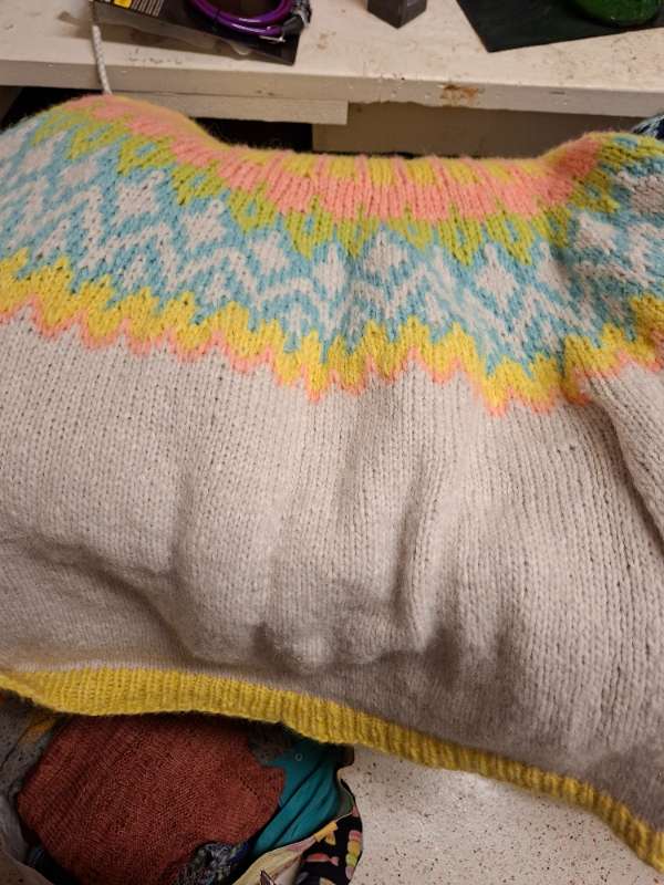 san sweater