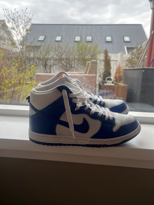 Nike dunks high