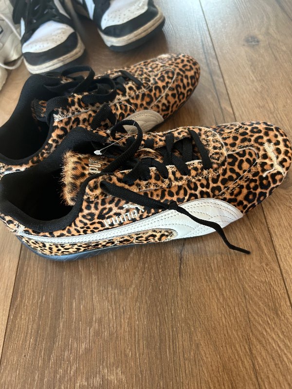Puma hlébarða
