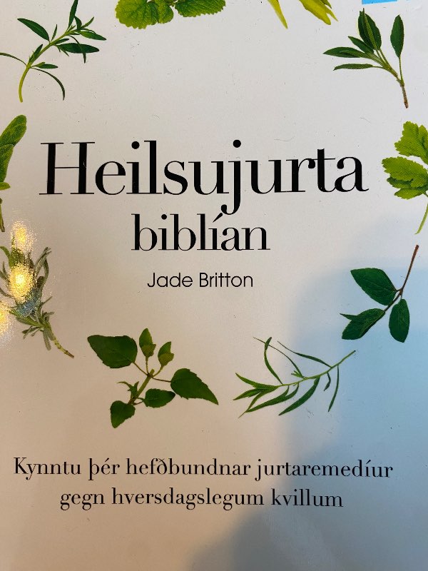 Heilsujurtabiblían