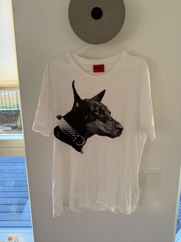 Boss bolur með hund
