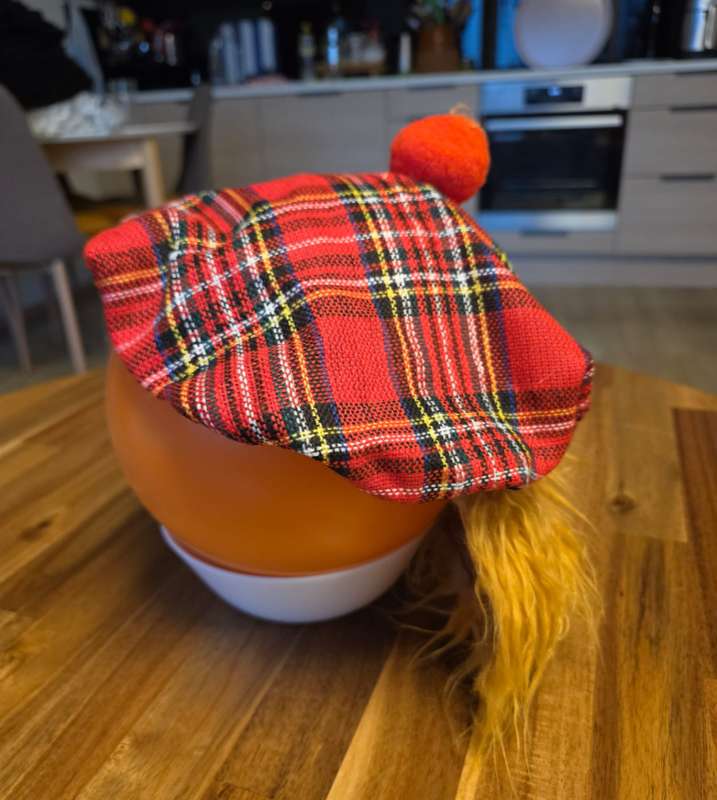 Skosk húfa/Escocia
