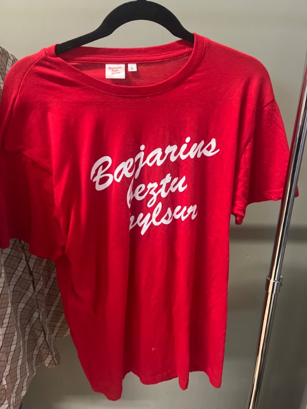 Bæjarins beztu bolur