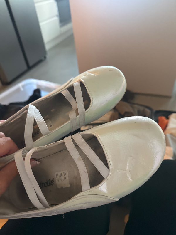 Puma