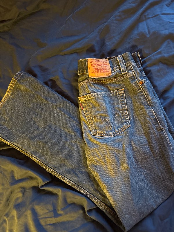 Vintage Bootcut Levis