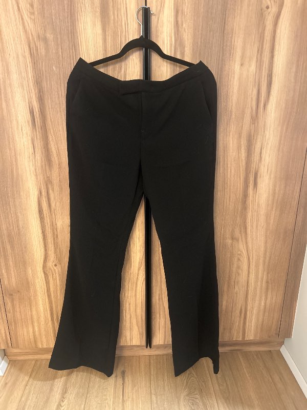Zara suit pants