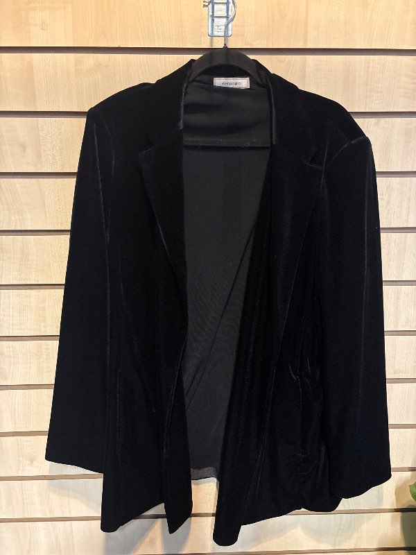 Elena miro blazer