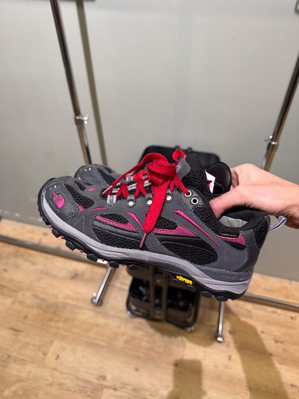 The north face shoes