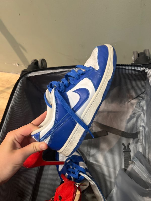 Bláir Nike dunks