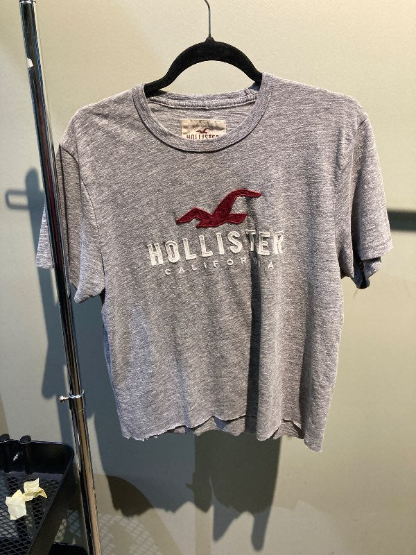 Hollister bolur