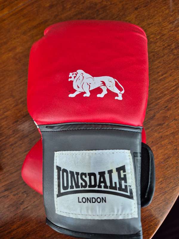 Lionsdale Boxhanskar