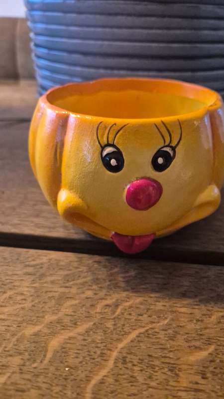 Blóma pottur