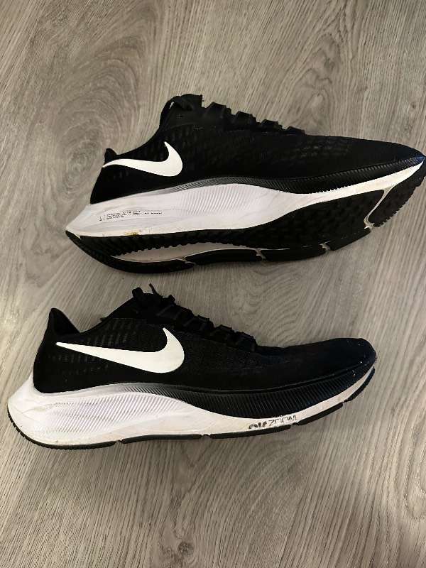 Nike pegasus 37