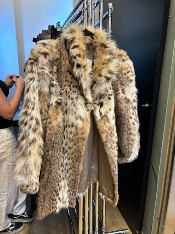 Cheetah pels - Mjög gott ástand