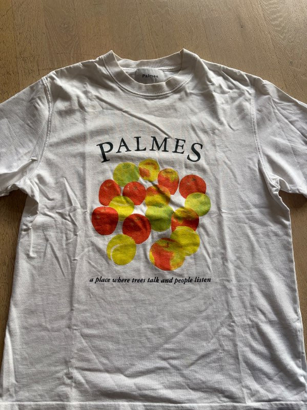 Palmes bolur