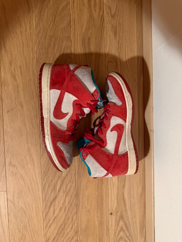 Nike dunk hjólabretta skór