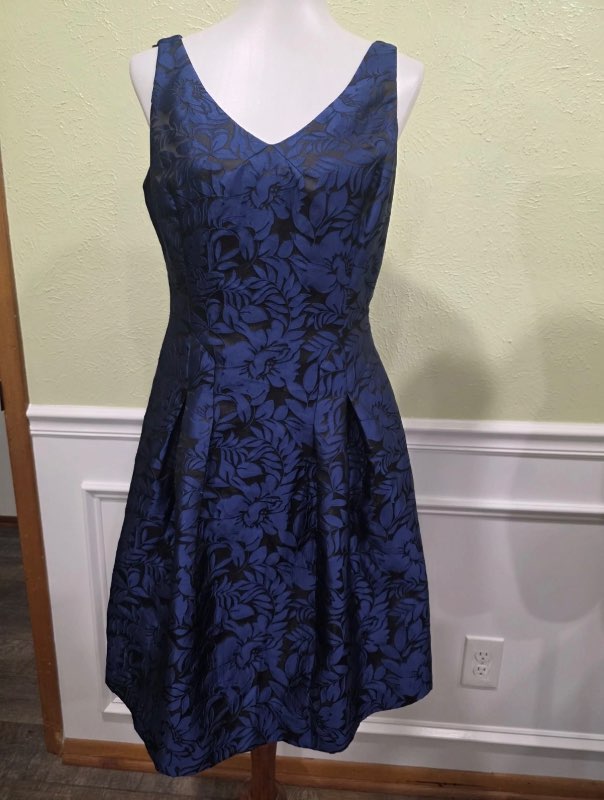 RL blue dress