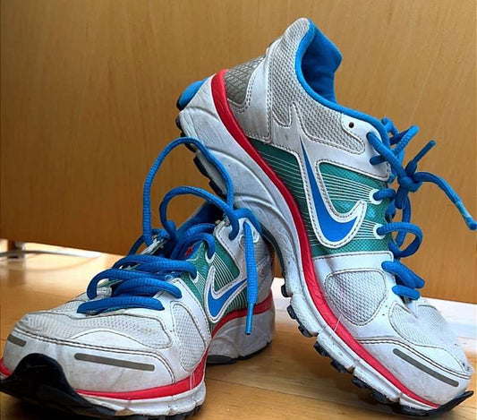 Nike Pegasus