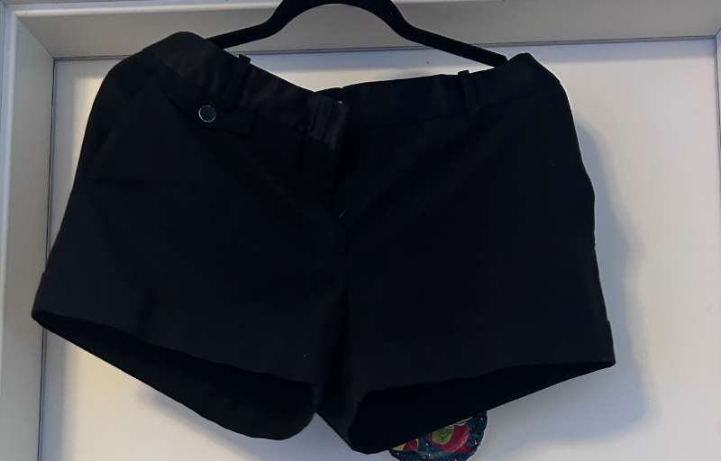 Zara Basic Short