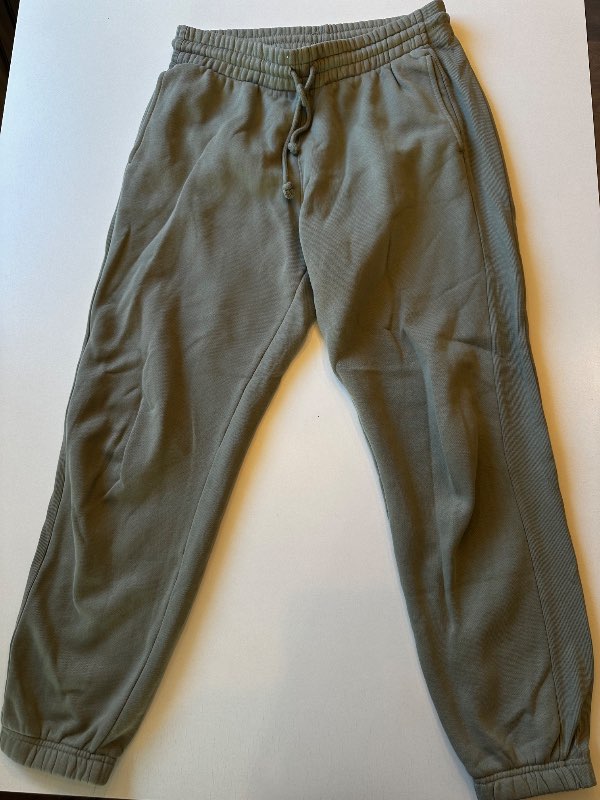 Aritzia buxur grænar