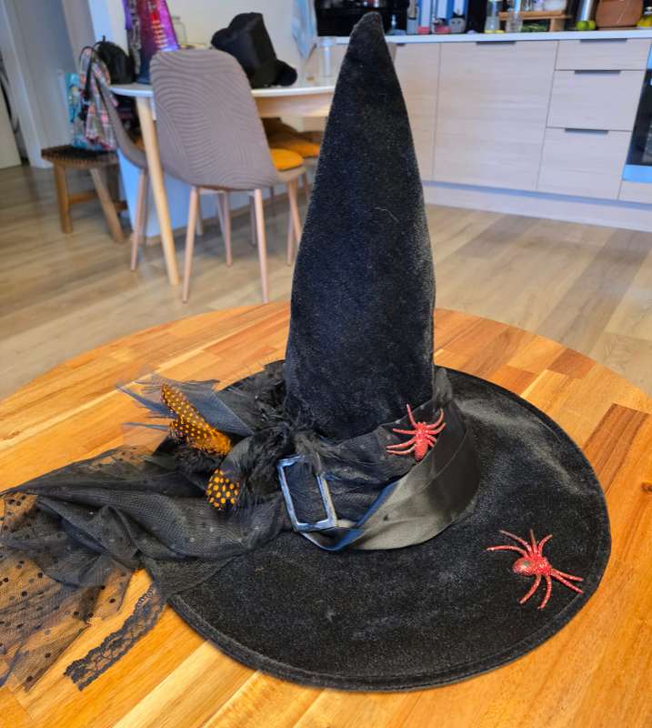 Köngulær með nornhatt/arañas