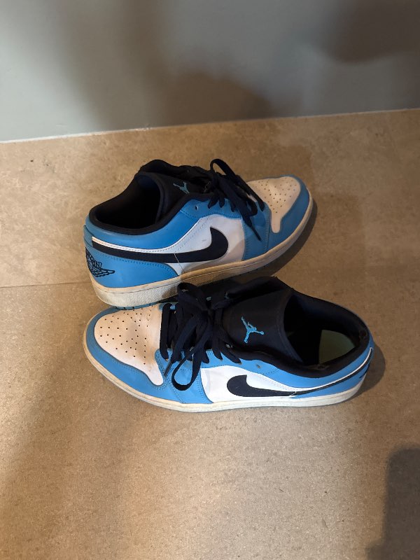 Nike dunks low (bláir)