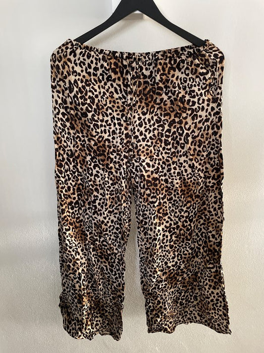 Leopard buxur