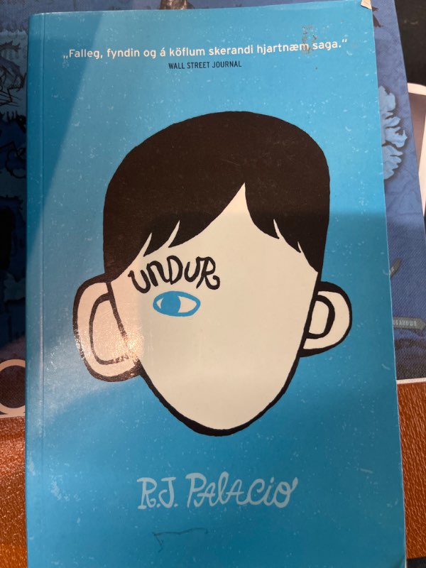 Undur bók
