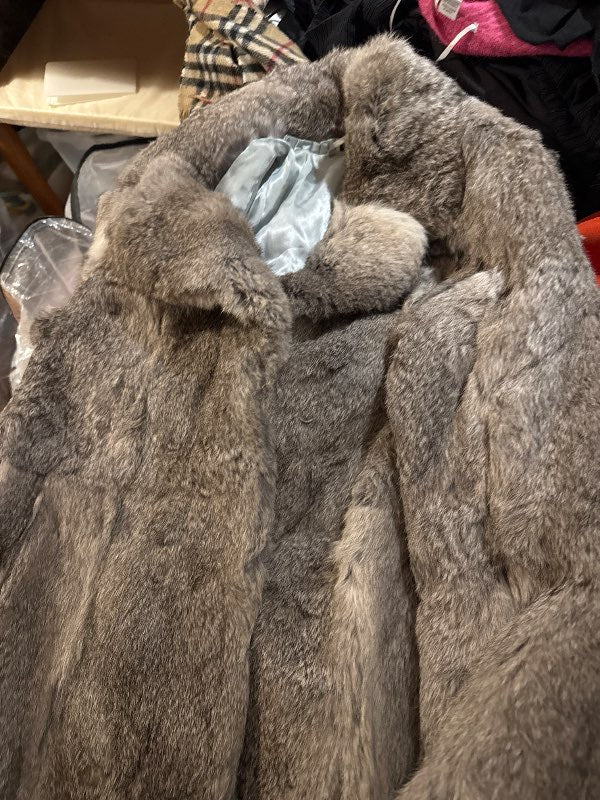 Feldur M kanínu grár