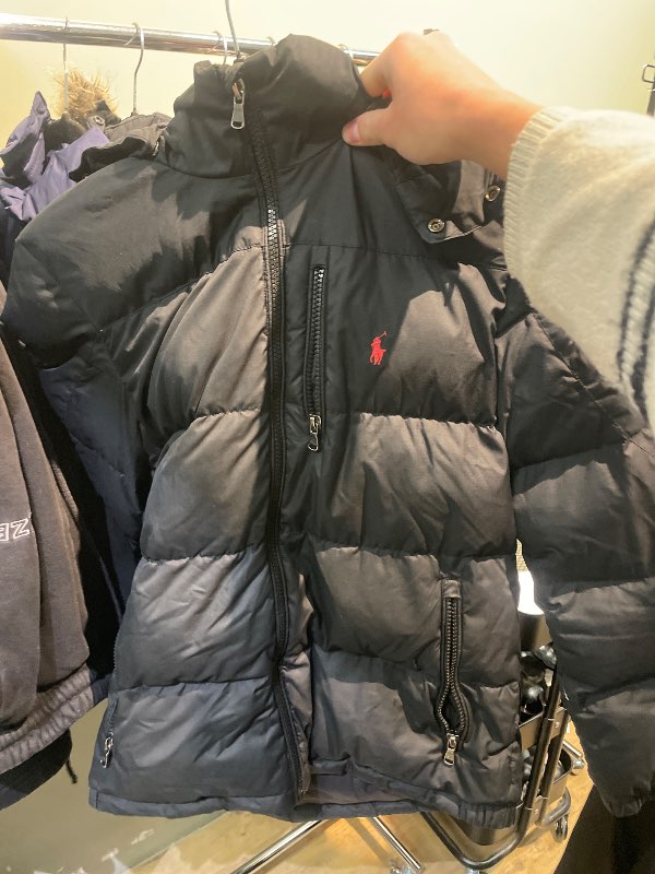 Polo ulpa