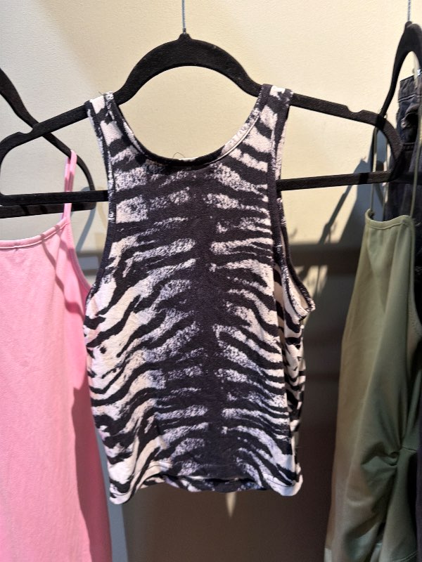 Zebra bolur