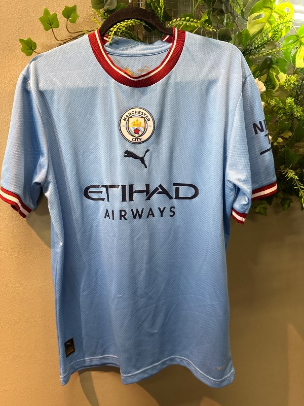 ManCity #16 Rodrigo