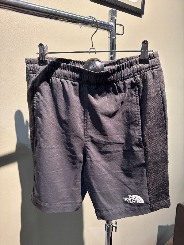The north face shorts