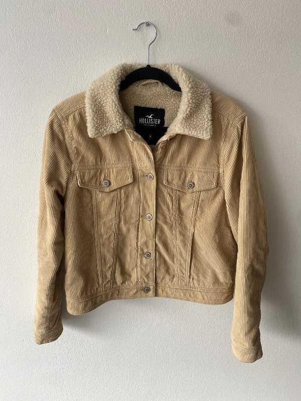 Hollister jakki