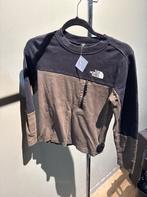 Hoodie the north face